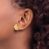 Lex & Lu 14k Yellow Gold Plumeria Post Earrings 761 - 3 - Lex & Lu