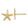 Lex & Lu 14k Yellow Gold Starfish Post Earrings LAL83144 - Lex & Lu