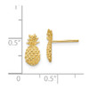 Lex & Lu 14k Yellow Gold Polished & Textured Pineapple Post Earrings - 4 - Lex & Lu