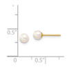 Lex & Lu 14k Yellow Gold 4-5mm Round FW Cultured Pearl Stud Earrings - 4 - Lex & Lu