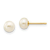 Lex & Lu 14k Yellow Gold 5-6mm Button FW Cultured Pearl Stud Earrings - Lex & Lu