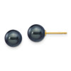 Lex & Lu 14k Yellow Gold 7-8mm Black Round FW Cultured Pearl Stud Earrings - Lex & Lu