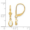 Lex & Lu 14k Yellow Gold 6x4 Oval Bezel October/Opal Leverback Earrings - 4 - Lex & Lu