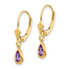 Lex & Lu 14k Yellow Gold 6x4mm Amethyst/February Earrings - 2 - Lex & Lu