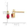 Lex & Lu 14k Yellow Gold Diamond & Ruby Earrings LAL84051 - 4 - Lex & Lu