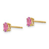 Lex & Lu 14k Yellow Gold Pink Sapphire Post Earrings LAL85536 - 2 - Lex & Lu