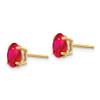 Lex & Lu 14k Yellow Gold Ruby Post Earrings LAL85565 - 2 - Lex & Lu