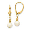 Lex & Lu 14k Yellow Gold Yellow (5-6mm) Semi-round FWC Pearl Leverback Earrings - Lex & Lu