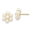 Lex & Lu 14k Yellow Gold Medium Egg FW Cultured Pearl Flower Earrings - Lex & Lu