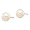 Lex & Lu 14k Yellow Gold 8-9mm Round S/W Akoya Cultured Pearl Stud Earrings - 2 - Lex & Lu