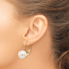 Lex & Lu 14k Yellow Gold 8-9mm FW Cultured Pearl Leverback Earrings - 3 - Lex & Lu