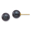 Lex & Lu 14k Yellow Gold 8-9mm Round Black Saltwater Pearl Stud Earrings - Lex & Lu