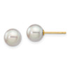 Lex & Lu 14k Yellow Gold 6-7mm Round Grey S/W Akoya Cultured Pearl Stud Earrings - Lex & Lu