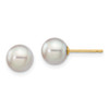 Lex & Lu 14k Yellow Gold 6-7mm Round Grey S/W Akoya Cultured Pearl Stud Earrings - Lex & Lu