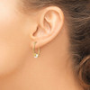 Lex & Lu 14k Yellow Gold Polished Hoop w/(5-6mm) FW Cultured Pearl Earring - 3 - Lex & Lu