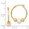 Lex & Lu 14k Yellow Gold Polished Hoop w/(5-6mm) FW Cultured Pearl Earring - 4 - Lex & Lu