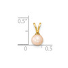 Lex & Lu 14k Yellow Gold 5-6mm Round Pink FW Cultured Pearl Pendant - 3 - Lex & Lu