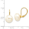 Lex & Lu 14k Yellow Gold 14K10mm-11mm FW Cultured Pearl Button Earrings - 4 - Lex & Lu