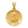 Lex & Lu 14k Yellow Gold Satin Our Lady of Perpetual Help Medal Pendant LAL89030 - Lex & Lu