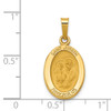 Lex & Lu 14k Yellow Gold Polished and Satin St. Joseph Medal Pendant LAL89121 - 3 - Lex & Lu