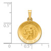 Lex & Lu 14k Yellow Gold Polished and Satin St. Luke Medal Pendant LAL89134 - 3 - Lex & Lu