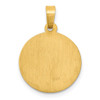 Lex & Lu 14k Yellow Gold Polished and Satin St. Luke Medal Pendant LAL89134 - 4 - Lex & Lu