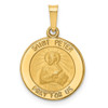 Lex & Lu 14k Yellow Gold Polished and Satin St. Peter Medal Pendant LAL89161 - Lex & Lu