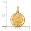 Lex & Lu 14k Yellow Gold Polished and Satin St. Peter Medal Pendant LAL89161 - 3 - Lex & Lu