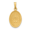 Lex & Lu 14k Yellow Gold Polished and Satin Miraculous Medal Pendant LAL89183 - 4 - Lex & Lu