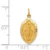 Lex & Lu 14k Yellow Gold Miraculous Medal Charm LAL89365 - 4 - Lex & Lu