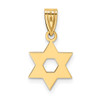 Lex & Lu 14k Yellow Gold Star of David Pendant LAL89424 - 4 - Lex & Lu