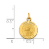 Lex & Lu 14k Yellow Gold Saint Gerard Medal Charm LAL89519 - 3 - Lex & Lu