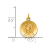 Lex & Lu 14k Yellow Gold Our Lady of Lourdes Medal Charm - 3 - Lex & Lu