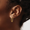 Lex & Lu 14k Yellow Gold 1.5mm Satin D/C Endless Hoop Earrings LAL90367 - 3 - Lex & Lu