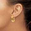 Lex & Lu 14k Yellow Gold Polished J-Hoop Click-in Back Post Earrings - 3 - Lex & Lu