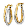 Lex & Lu 14k Two-tone Gold Double Hoop Earring - 2 - Lex & Lu