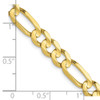 Lex & Lu 10k Yellow Gold 6.0mm Concave Figaro Chain Necklace or Bracelet- 5 - Lex & Lu