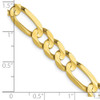 Lex & Lu 10k Yellow Gold 7.5mm Concave Figaro Chain Necklace or Bracelet- 5 - Lex & Lu