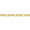 Lex & Lu 10k Yellow Gold 5.35mm Semi Solid Figaro Chain Necklace or Bracelet- 3 - Lex & Lu