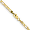 Lex & Lu 10k Yellow Gold 3.0mm Figaro Chain Necklace or Bracelet- 4 - Lex & Lu