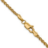 Lex & Lu 14k Yellow Gold 2.8mm Spiga Chain Necklace- 4 - Lex & Lu