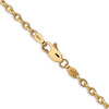 Lex & Lu 14k Yellow Gold 3.2mm Cable Chain Necklace- 4 - Lex & Lu