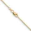 Lex & Lu 14k Yellow Gold 1.15mm Rolo Pendant Chain Necklace- 4 - Lex & Lu