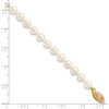 Lex & Lu 14k Yellow Gold 5-6mm Round S/W Akoya Cultured Pearl Necklace LAL93155- 4 - Lex & Lu