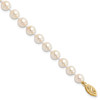 Lex & Lu 14k Yellow Gold 6-7mm Round S/W Akoya Cultured Pearl Necklace LAL93157 - Lex & Lu