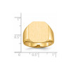Lex & Lu 14k Yellow Gold Men's Signet Ring LAL97551 - 5 - Lex & Lu