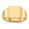 Lex & Lu 14k Yellow Gold Signet Ring LAL97575 - Lex & Lu