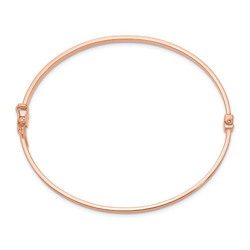 Lex & Lu 14k Rose Gold Polished Hinged Bangle Bracelet LAL101965 - Lex & Lu