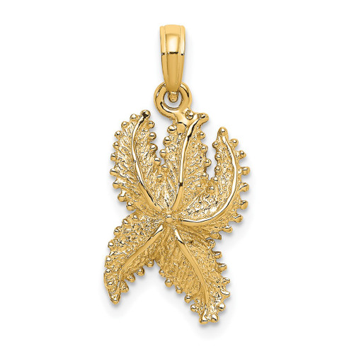 Lex & Lu 14k Yellow Gold Textured Starfish Charm LALK8068 - Lex & Lu