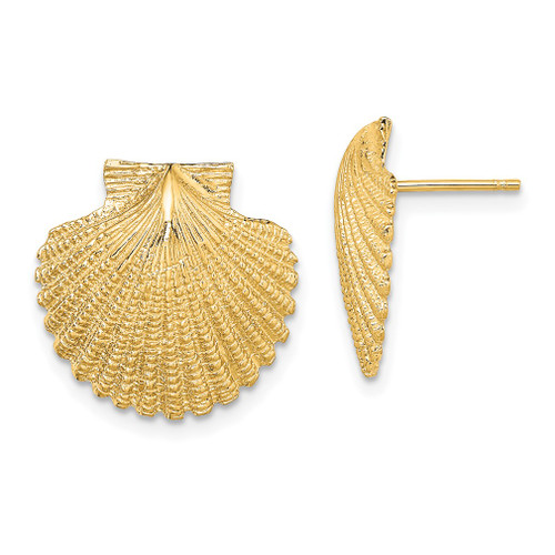 Lex & Lu 14k Yellow Gold 2D and Textured Scallop Shell Post Earrings - Lex & Lu